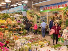 -双季花艺园艺市场(浦东店)