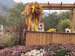 -北京十三陵国家森林公园蟒山景区