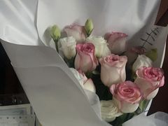 -上海星瀚奔驰4S店(红柳路店)