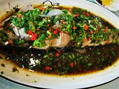 -蜀竹情酒楼(北营房店)