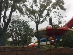 -苏州乐园森林水世界