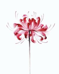 -针牛刺客·刺青纹身