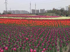 -菊园百果园