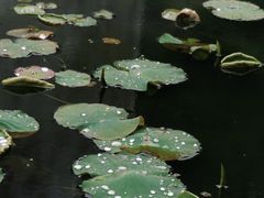 -兰亭风景区