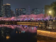 -西北湖绿化广场
