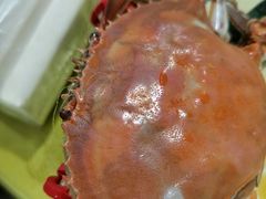 -沿海渔家院海鲜饺子·东北菜(止锚湾店)