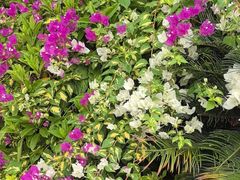 -桃花涧