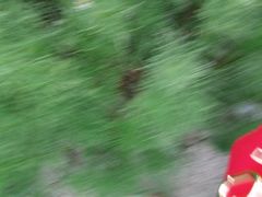 -华莱士·全鸡汉堡(汉川西街店)