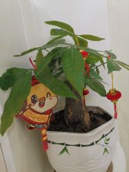 -痘院长·祛痘修护·皮肤管理