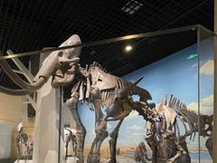 -国家自然博物馆