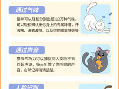 -唐小姐の猫狗洗护·购宠旗舰店(周浦万达店)