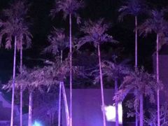 -三亚红色娘子军演艺公园景区