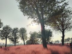 -汉长安城未央宫国家考古遗址公园