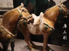 -徐州博物馆