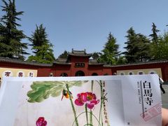 -洛阳白马寺