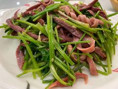 -雲蜀龙阁·金牌水煮鱼(方庄店)