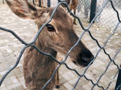 -长白岛森林公园