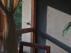 -时光花园(白鹭洲店)