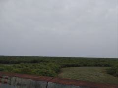 -北海金海湾红树林生态旅游区