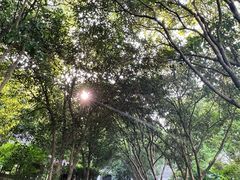 -上海佘山国家森林公园西佘山园