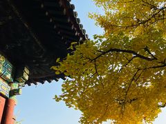 -红螺寺