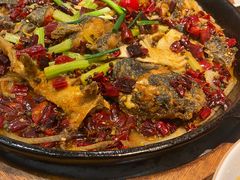 -老板恋上鱼(印象城店)