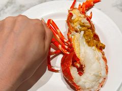 -青蓬蒸汽海鲜·深圳老字号·团建聚会(壹方城店)