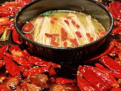 -渝大狮毛肚老火锅(普陀店)