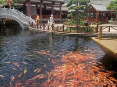 -桥馫源蒙自过桥米线(蒙自店)