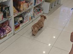-悦宠凯宝动物医院·牙科·皮肤科(朝阳北路店)