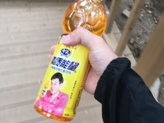 -鲁山国家森林公园