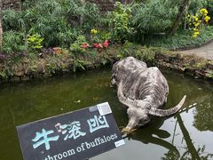 -燊海井