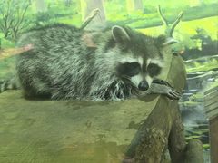 -大连圣亚海洋世界