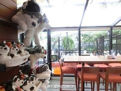 -TrueLove @ Neverland (Husky Cafe)
