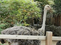 -北京野生动物园