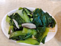 -山东师范大学(千佛山校区)