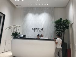 -奥斯芬欧系贵族SPA