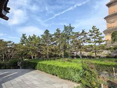 -大慈恩寺(大雁塔)