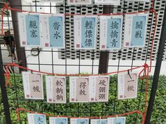 -荔湾湖公园