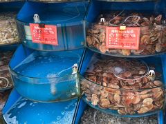 -北戴河庆山饭店·海鲜砂锅粥(北戴河黑石路店)