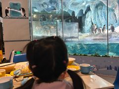 -帝企鹅自助餐厅•儿童岛•真企鹅(长隆企鹅酒店)