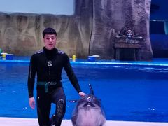 -华夏文旅海洋公园