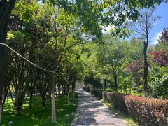 -南凉虎台遗址公园