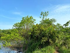 -盘龙城国家考古遗址公园