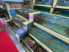 水产区-旺富东海大酒楼(海鲜街店)