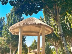 -石家庄市动物园