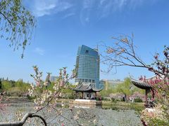 -无锡蠡湖国家湿地公园-蠡园