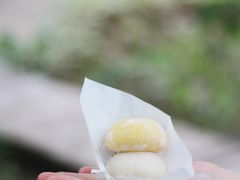 榴莲慕斯摩提-西树泡芙(北京金源2店)