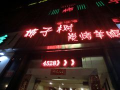-柿子树炭烤羊腿(金台路店)
