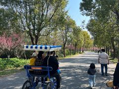 -上海海湾国家森林公园